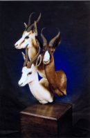 Spring Buck Pedestal