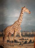 Giraffe Painting