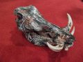 Skull Mount - Camouflage Paint