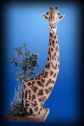 Giraffe Floor Pedestal