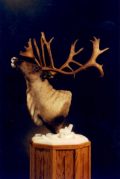 Caribou Pedestal