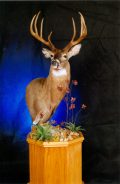 Whitetail Pedestal