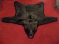 Grizzley Bear Rug