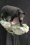 Bear Wall Mount