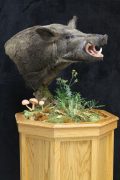 Boar pedestal